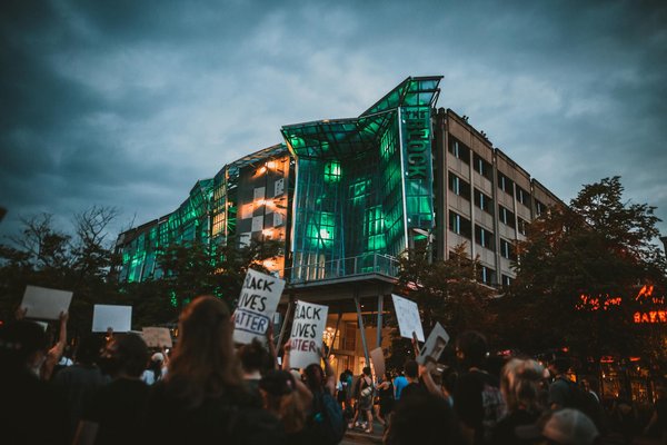 How to Choose the Right Pet for Navigating Uncertain Times